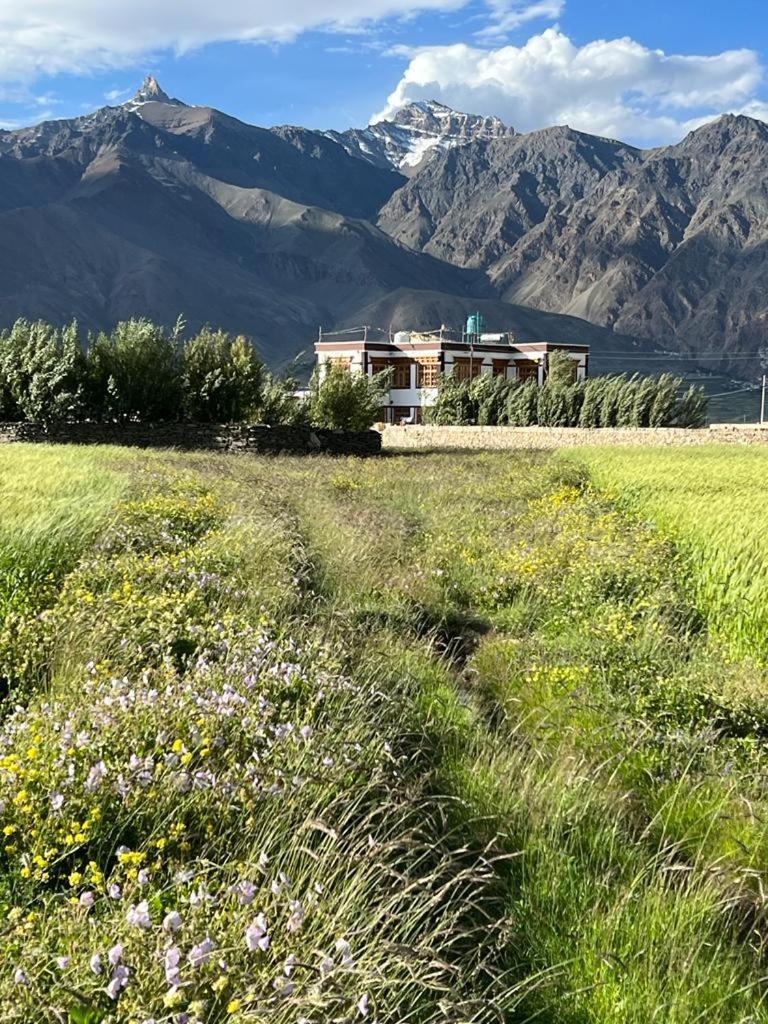 Guru View Home Stay Padam Buitenkant foto